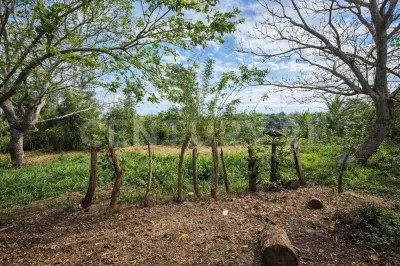 Casa en venta en Las Vigas de Ramírez - foto 2