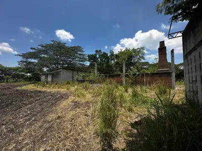 Terreno en venta en Tierra Blanca - foto 3