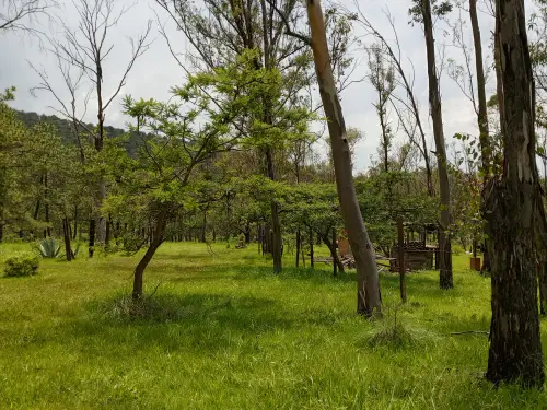 Terreno en venta en Morelia - foto 5
