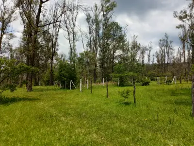 Terreno campestre 270m2 presa de cointzio Morelia michoacán