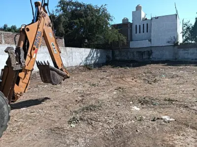 Terreno en renta en Mazatlán - foto 5