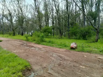 Terreno en venta en Morelia - foto 3
