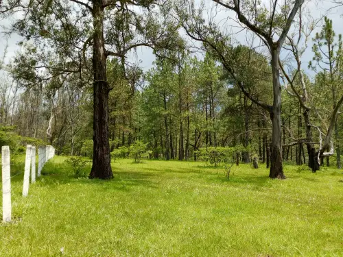 Terreno en venta en Morelia - foto 4