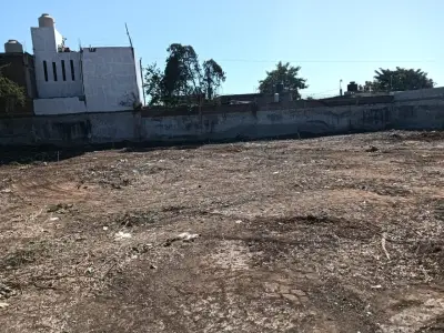 Terreno en renta en Mazatlán - foto 4