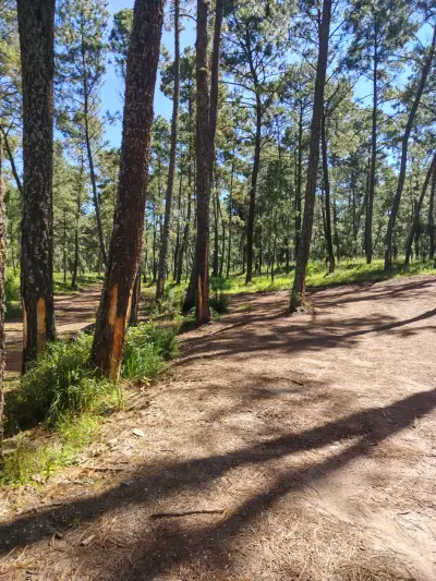 Terreno en venta en Atemajac de Brizuela - foto 2
