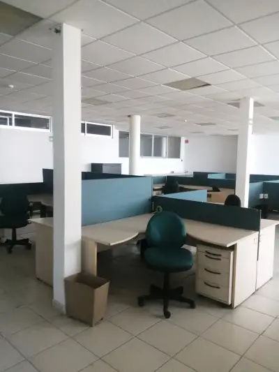 Renta oficina ejecutiva 300 m² espacio luminoso