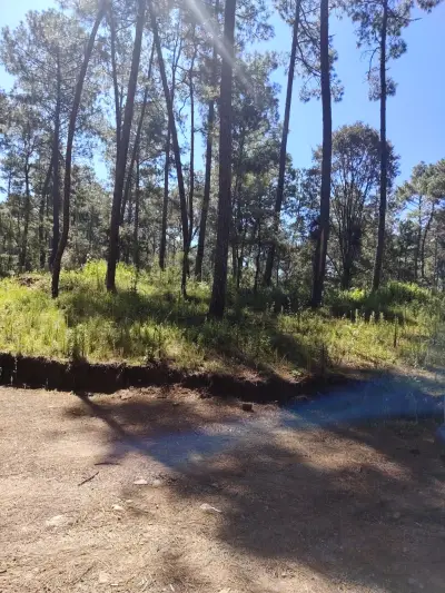 Terreno en venta en Atemajac de Brizuela - foto 4