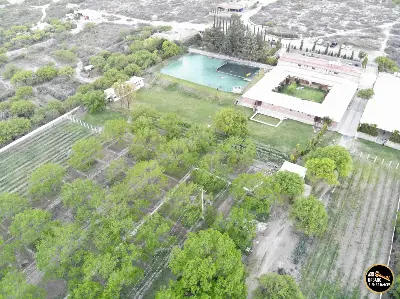 Terreno en venta en San Luis Potosí - foto 5