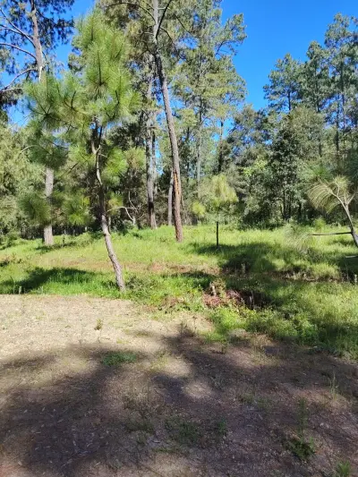 Terreno en venta en Atemajac de Brizuela - foto 3