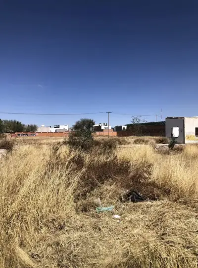 Terreno en renta en Aguascalientes - foto 3