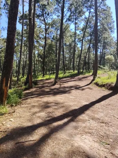 Terreno en venta en Atemajac de Brizuela - foto 3