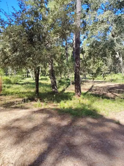 Terreno en venta en Atemajac de Brizuela - foto 5