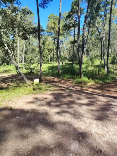 Terreno en venta en Atemajac de Brizuela - foto 4