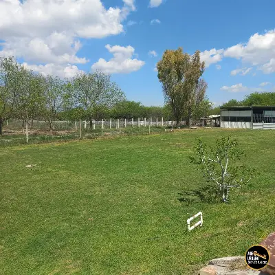 Terreno en venta en San Luis Potosí - foto 3