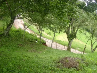 Terreno en venta en lomas de Hidalgo, Banderilla
