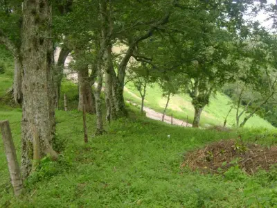 Terreno en venta en Banderilla - foto 3