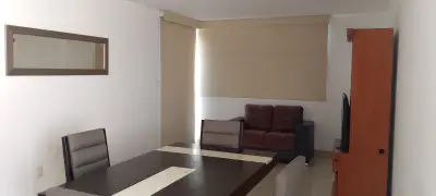 Departamento en renta en San Luis Potosí - foto 3
