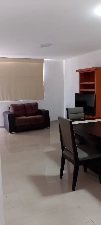 Departamento en renta en San Luis Potosí - foto 4