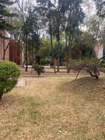 Departamento en venta en Coyoacán - foto 2