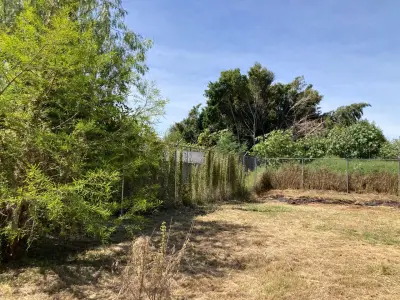 Terreno en venta en Atlixco - foto 2