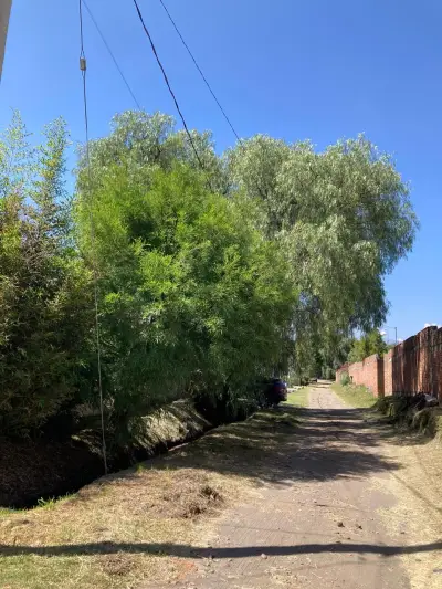 Terreno en venta en Atlixco - foto 5
