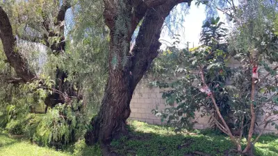 Terreno en venta en Atlixco - foto 3