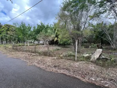 Terreno en venta en Othón P. Blanco - foto 2