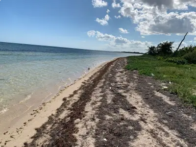 Se vende terreno en mahahual qr