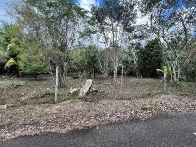 Terreno en venta en Othón P. Blanco - foto 3