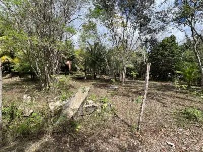 Terreno en venta en Othón P. Blanco - foto 4
