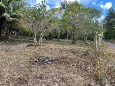 Terreno en venta en Othón P. Blanco - foto 5