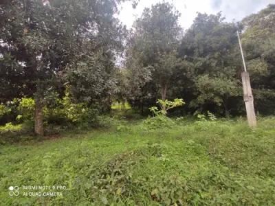 Terreno en venta en Xico - foto 5