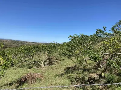 Terreno en venta en Xico - foto 4
