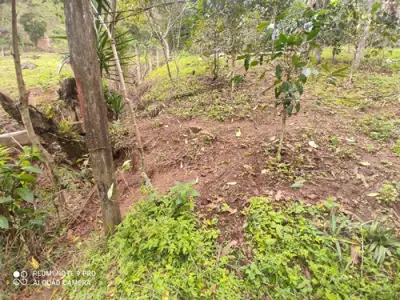 Terreno camino a teocelo