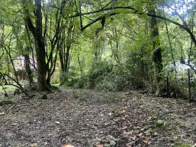 Terreno en venta en Xico - foto 4