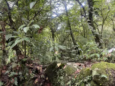 Terreno en venta en Xico - foto 3