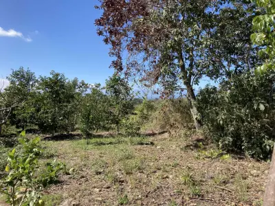 Hermoso terreno en las inmediaciones de Xico