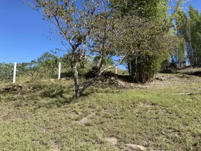 Terreno en venta en Xico - foto 3