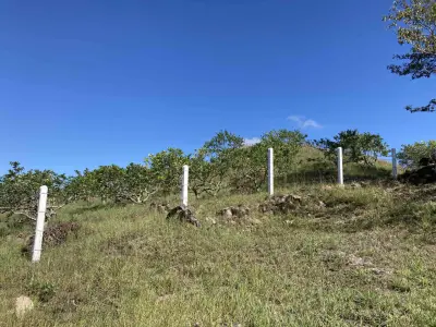 Terreno en venta en Xico - foto 2