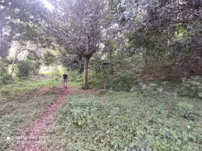 Terreno en venta en Xico - foto 4