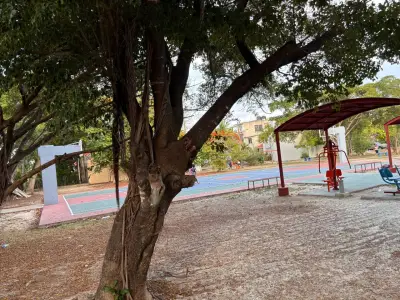 Casa en zona sur-este