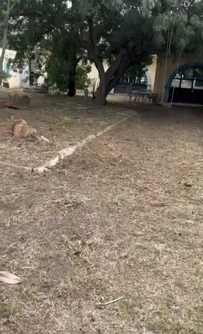 Terreno en venta en León - foto 4