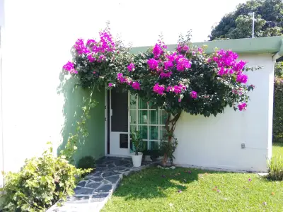 🏡 casa en venta — fraccionamiento casas del río, Cuautla, m