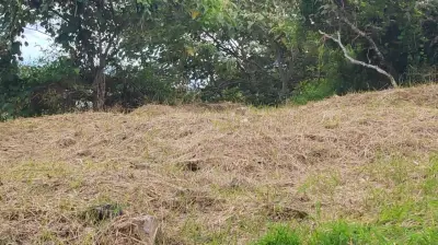 Terreno en venta en Xalapa - foto 4
