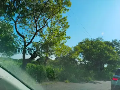 Terreno en venta en Veracruz - foto 2