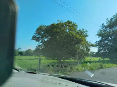 Terreno en venta en Veracruz - foto 4