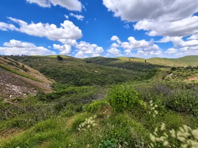 Terreno en venta en Vetagrande - foto 2