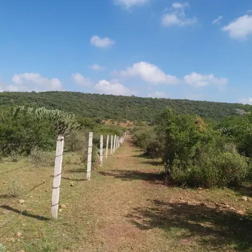 Terreno en venta en Tequisquiapan - foto 3