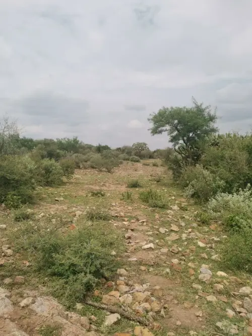 Venta terreno 1100m2 en la fuente