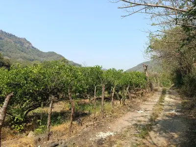 Terreno en venta en Actopan - foto 3